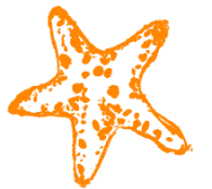 Морская звезда