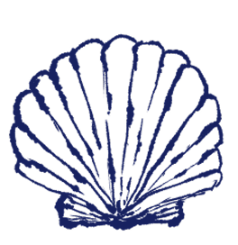 Морская ракушка