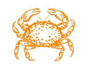 Этап Подбираем туры вручную
под ваши пожелания,
сезон, бюджет