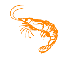 Этап Дарим бонусы и мелкие приятности, чтобы поездка запомнилась теплом